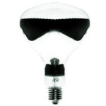 755e2f923b3bb3ad373e6d293a125e7a