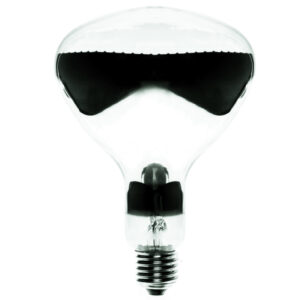 755e2f923b3bb3ad373e6d293a125e7a