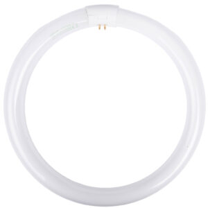 fae304170334b104ea9e156a8ebec311