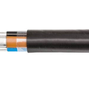 517213996fcfa019c18ab5bab55d529f