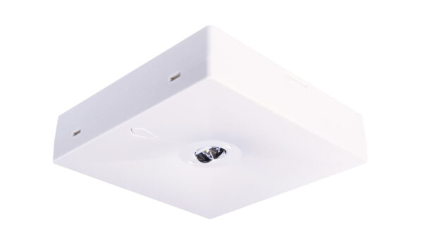 113e6ceb46f00662d96d115e588c5dba.jpg ae0a4986e449b759e4d7dff2ec2f39bf