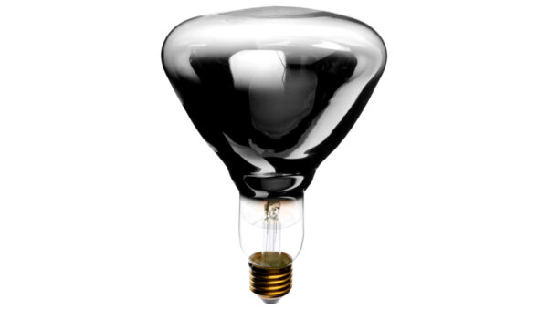 11c9569a725d867f39ac32e6a3ebd3de.jpg f845cd4d5ccaec09e2f430e77fc51a6f