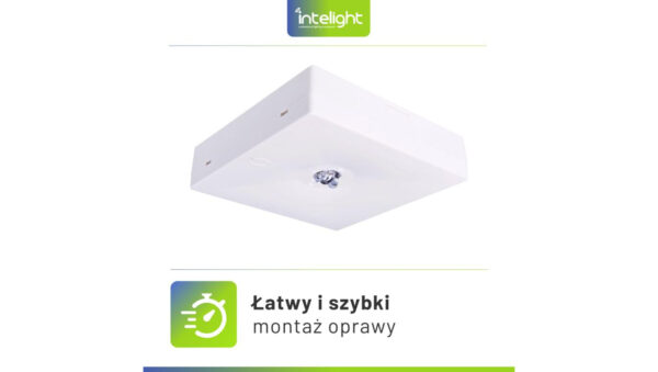 338d358b14536cb14464159812ddcca9.jpg 56dd9595911896792fc9c69c363bdc33