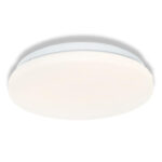 ec8a97add14f580ba3cb216122e63393