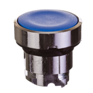 2a00ef1a25a35403de9aa589397271a0