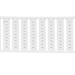 986c4011d96f4331306d567a7fe6efd7