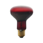 fcfa4c2eb9e53f95a1d44e184b1ce6b1