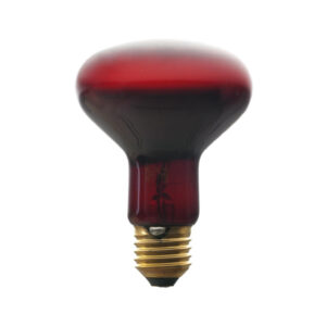 fcfa4c2eb9e53f95a1d44e184b1ce6b1