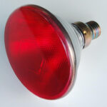 b7426aeee39bbe7be308f52aa7345cd0