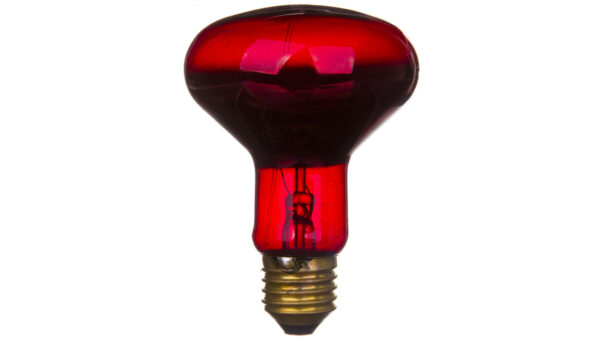 c3e92ece0d5d333b70c9316d2da9c8f9