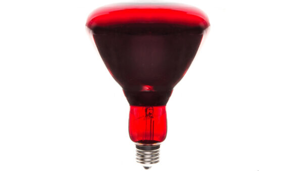 81fddaf66b238e3bf7451cd040284f81.jpg cdb70eaf1273900739a98475454a7e71