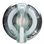 21b31195e24fddfd05191521cfef9a2e