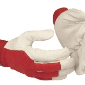 9fae72c24726a1d43c9cab4d3729932c