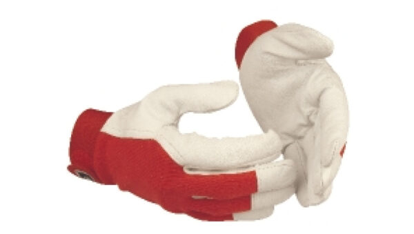 9fae72c24726a1d43c9cab4d3729932c