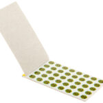 8ebe925f0d814f3a81a3c2b16b70a2b4