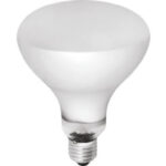 81d72bbd941a2232525cfd4557cda5db