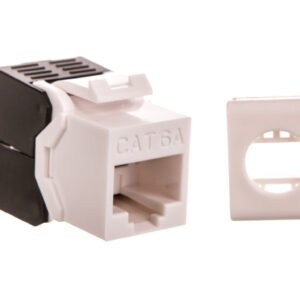 8f019ba6028e4e2094b3e31937313757