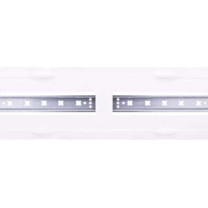 c59ee72e3823d8ac78a2562801fa7b61