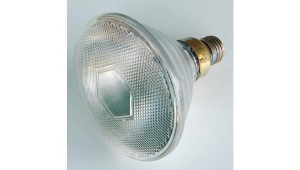 b4e964f7eb28711992936492cfea6784.jpg 8447dd2f7626d167c5ca12fa1bcc17e4