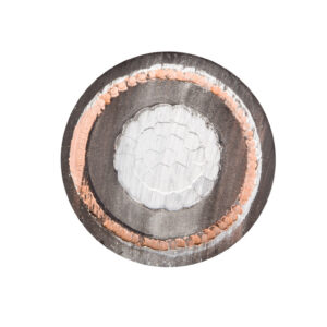 3790de46c08d9cc5d195f89694993943