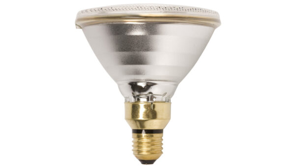 81a7897fd03cc0f250fdb032f1e95ebe