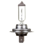 d703c7e8525c03a8034899f19541a5c6