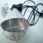 2e3f5bec9f8f9c5b335f0faa872d7dca