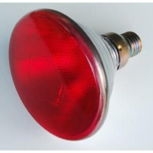 0eda3e3c56a4649b9fa8050a917cc1bf