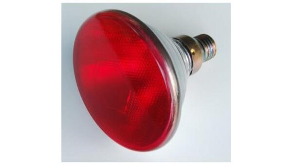 f0f2f832042e854f04bf4fc7edffbed9.jpg 0eda3e3c56a4649b9fa8050a917cc1bf