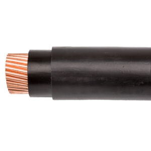 9eae7c57be27eb42caebd691b19125a1