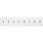 123fddf4eed17419774230d5cbda0a29